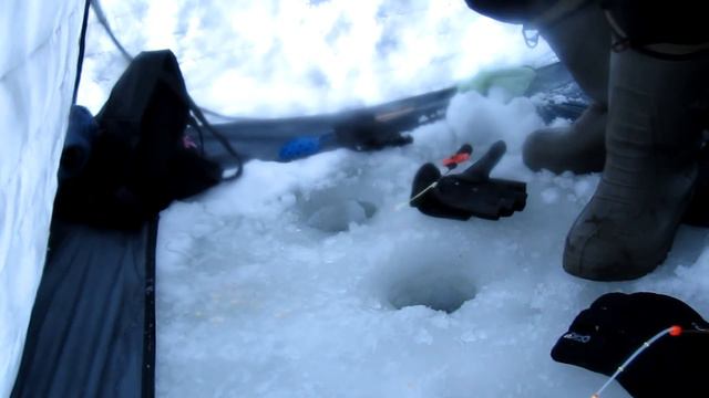 Рыбалка 2019 в ГЛУХОЗИМЬЕ!!! Ловля ельца на Томи в Ярском. Интересная рыбалка получилась. смотреть онлайн