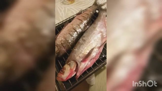 Верхогляд в шарабане смотреть онлайн