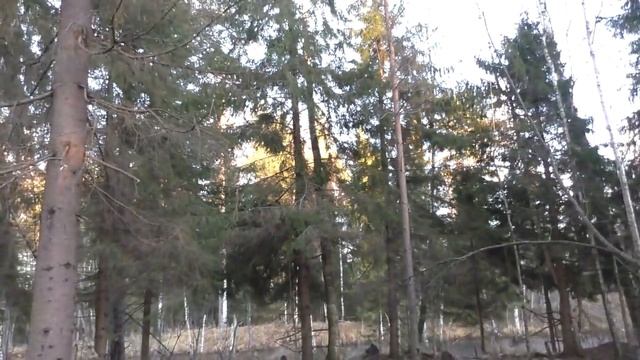 закладка привады на лису смотреть онлайн