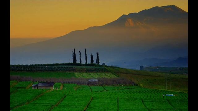 The Amazing of Nusantara Indonesia смотреть онлайн