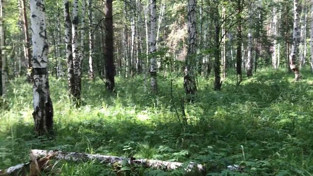 Просветление. Любящий НИКТО ❤️ смотреть онлайн