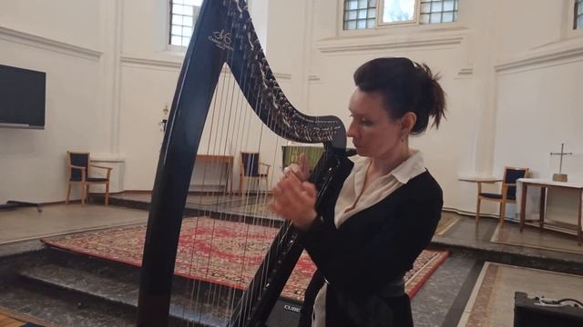 Brian Boru / Electric harp / Электроарфа смотреть онлайн