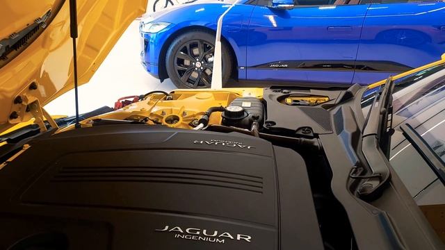 JAGUAR 2019-2020 смотреть онлайн