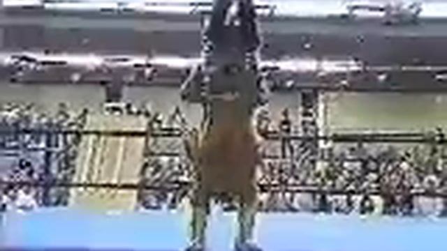 bjw смотреть онлайн