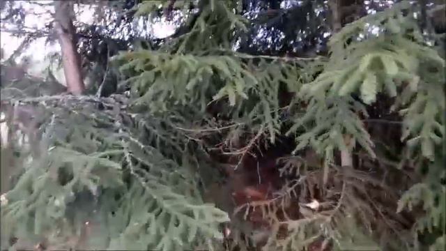 Воспоминания о лете 2023: бассейн, море, шашлыки... смотреть онлайн