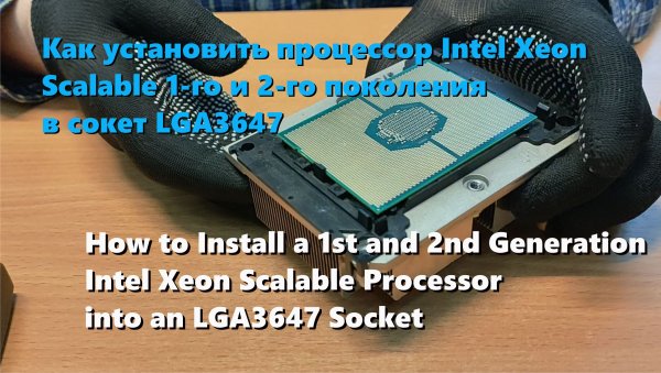 Установка Intel Xeon Scalable в сокет LGA3647
Installing Intel Xeon Scalable LGA3647 CPU