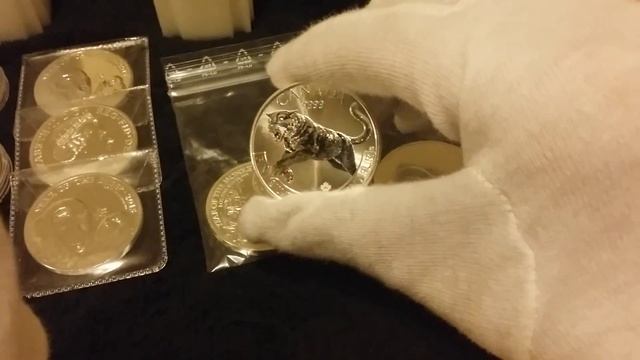 2016 RCM 1 oz 999.9 silver cougar смотреть онлайн