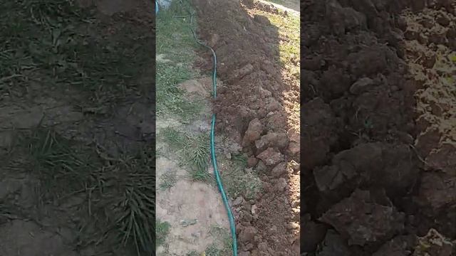 евролос про 4 + смотреть онлайн