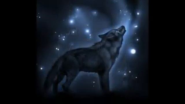 ВОЛКИ АНИМЕ смотреть онлайн