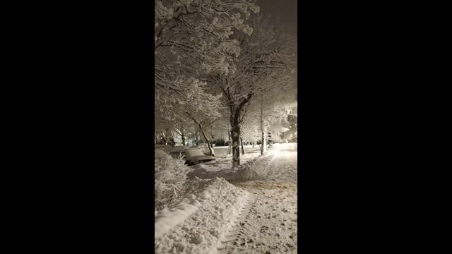 Зимняя Сказка