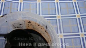 Это надо знать про ФИТОСПОРИН! Как Разводить Фитоспорина М и Совместимость с другими препаратами