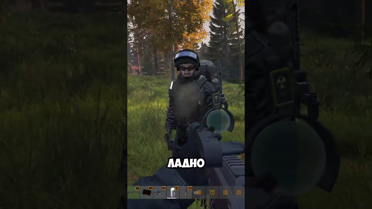 ВЕРНИ ДЕСЯТКУ  #stalkerrp #dayzstalkerrp #сталкер #stalker