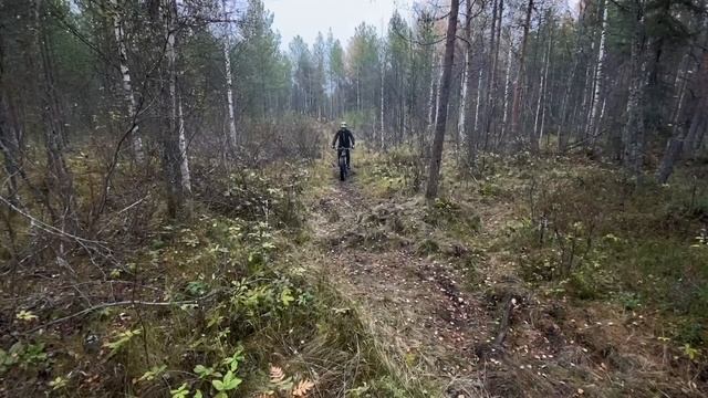 Осенний зимник на Fatbike Sarma FokaV2 смотреть онлайн