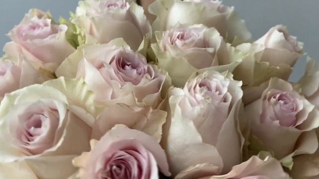 Букет из 25 роз Миами-Плайя смотреть онлайн