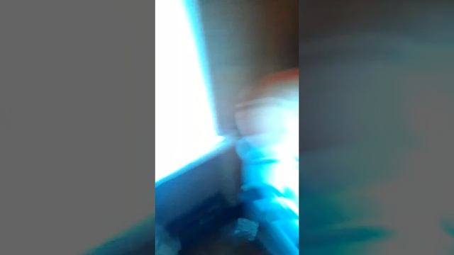 Как приготовить свиную голову смотреть онлайн