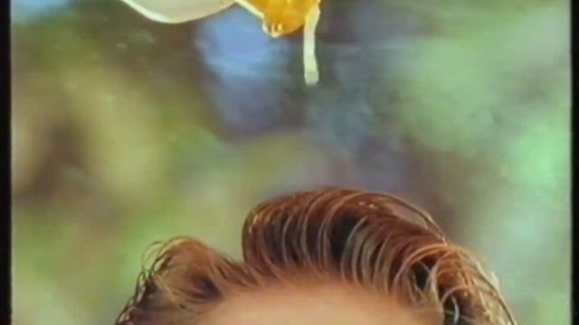 Timotei Shampoo - 1993 Australian TV Commercial смотреть онлайн