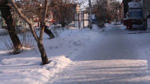 КАМЕНЬ-НА-ОБИ . ФЕВРАЛЬ 2023...