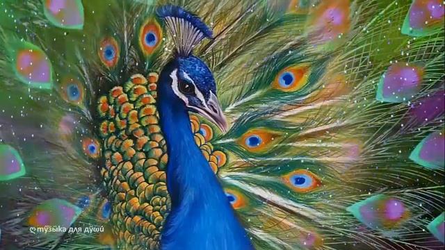 Очень красивая восточная музыка ✿ Beautiful music смотреть онлайн