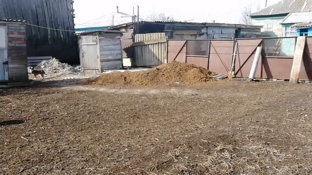 ЖИВУ В ДЕРЕВНЕ ОГОРОД ПОСЛЕ ЗИМЫ ПРИШЛА ВЕСНА смотреть онлайн