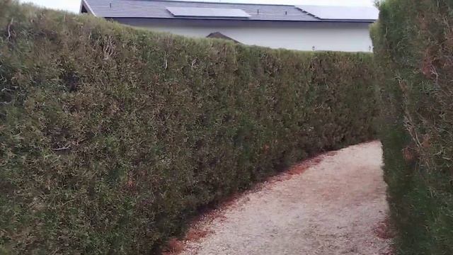 Выходной не пьющего сварщика.