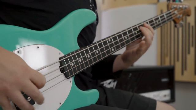 2018 Ernie Ball Music Man Sting Ray Special! смотреть онлайн