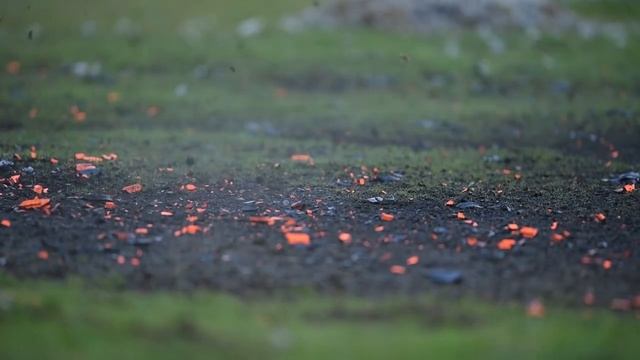 600mm Lens vs SHOTGUN Challenge смотреть онлайн