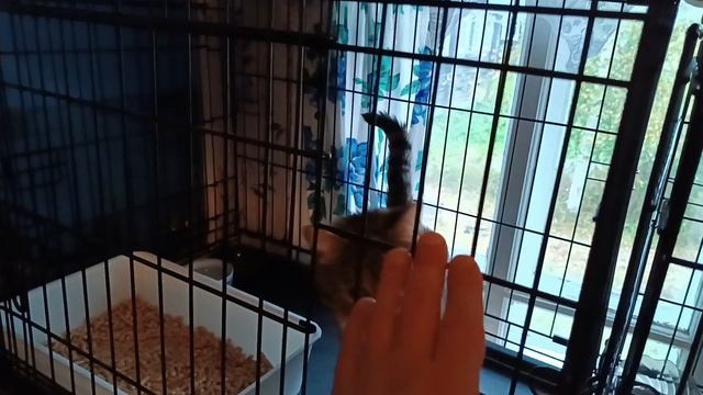 Наш отпуск в деревне. Сентябрь 2023. смотреть онлайн