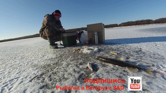 Зимняя рыбалка в Беларуси.Первая щука на ставку, готовим на льду... смотреть онлайн