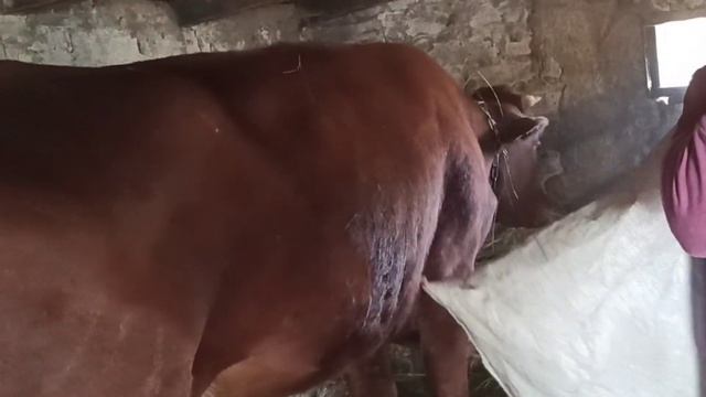 Сколько человек обслуживает нашу "ферму". Кто чем занимается по хозяйству в нашей семье. смотреть онлайн