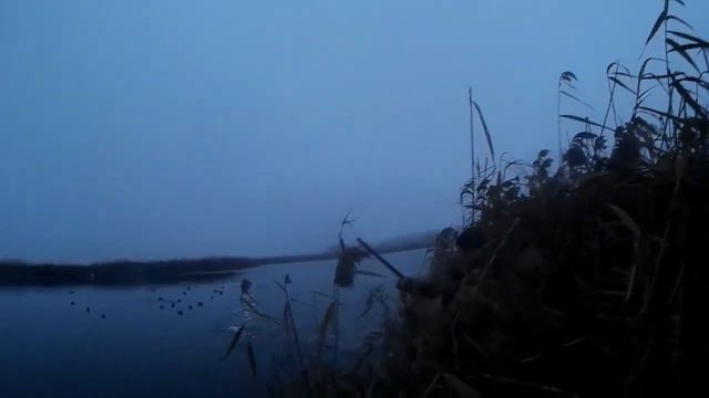 охота на утку смотреть онлайн