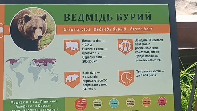 Харьков 2 июля 2023 года ЗООПАРК часть 1 смотреть онлайн