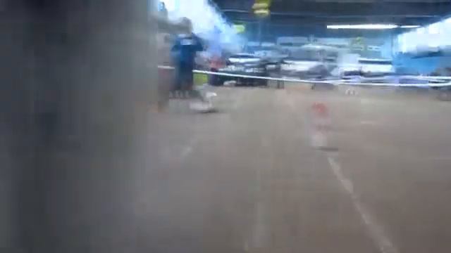 24ноября Минск CACIB Ши Тцу смотреть онлайн