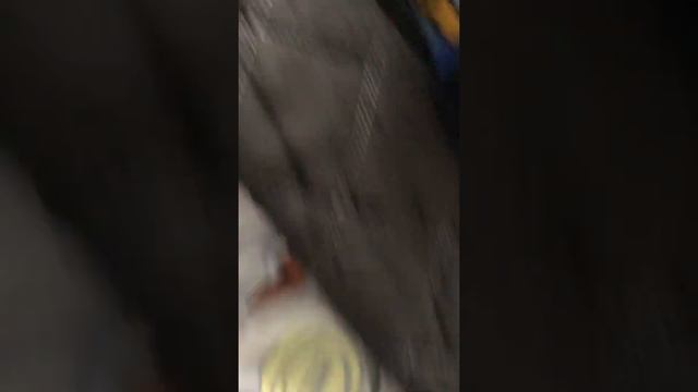 Bongo Games The Sneak Peck