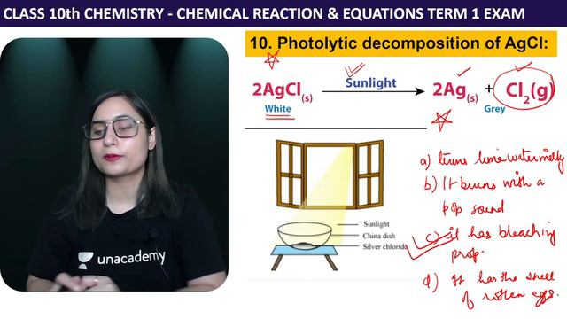 Class 10 Chemistry: Top 30 Chemical Reactions | Chemistry | Term1 | Sushmita Sharma смотреть онлайн