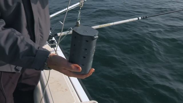Battuta di Pesca allo Sgombro Marina di Ravenna (Tubertini) смотреть онлайн