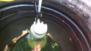 Насос для бочки Sterwins