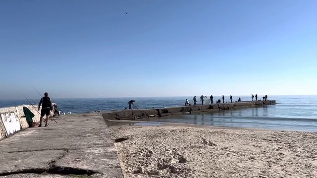 Одесса 18 октября 2022. Обстановка в городе. По ту сторону Золотого Берега. Черёмушки и коты. смотреть онлайн