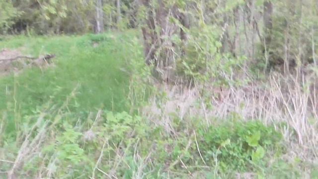 "Ладожское кольцо" Карелия сталк 2017 г. Часть 3 *Питкяранские рудники* смотреть онлайн