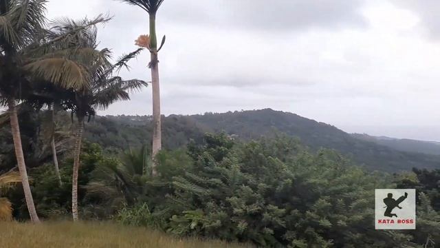 Capoeira at Kata Boss 2020 смотреть онлайн