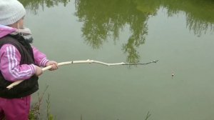 Первая Рыбалка в своем пруду. Как подросли карпы? First Fishing in pond. How did the carp grow up?