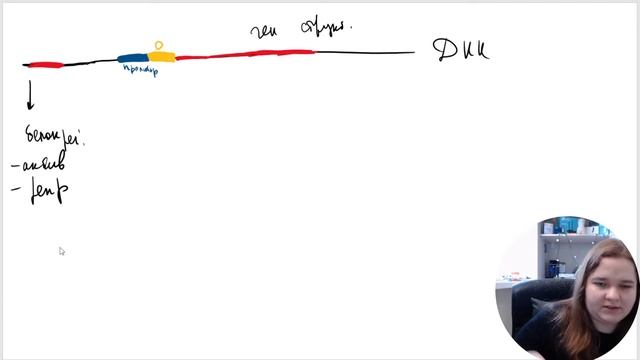 ГЕН и ОПЕРОН. Как работает лактозный оперон? смотреть онлайн