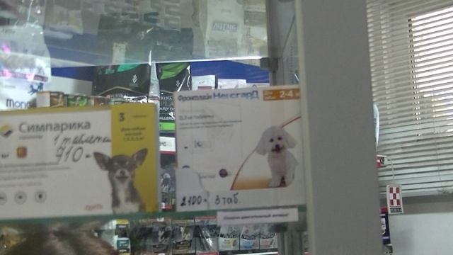 Ветеринарная аптека Бемби. Наличие препаратов в Июне 2023 смотреть онлайн