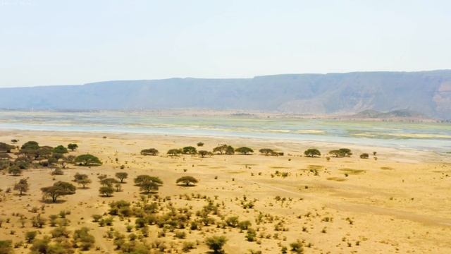 4K African Wildlife : Mole National Park, Ghana - Scenic Wildlife Film With Real Sounds