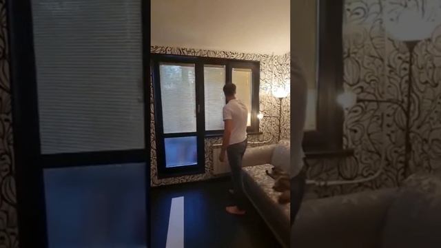 балконный блок черного цвета с жалюзи внутри между стеклами откосы зеркало