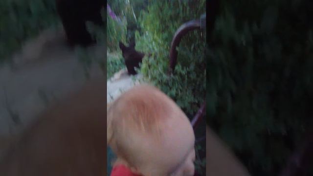 Летом на лыжах тоже можно ходить. смотреть онлайн