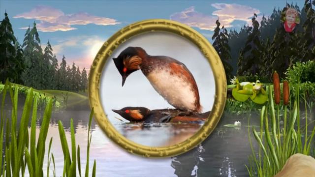 В мире животных смотреть онлайн