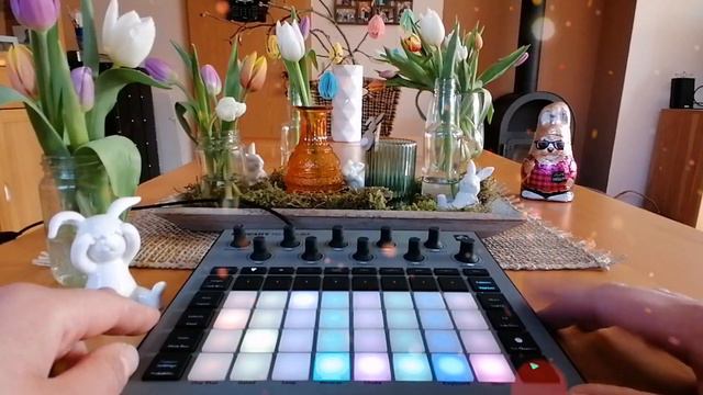 GROOVY EASTER 🐇DANCE JAM on NOVATION CIRCUIT RHYTHM🐰 смотреть онлайн