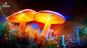 528 Гц - Частота для поднятия положительных вибраций. Музыка для медитации.