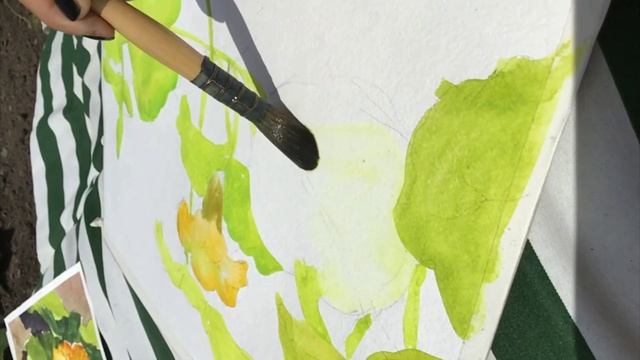 Акварельный пленэр с натуры ||| Цветы тыквы и гортензии