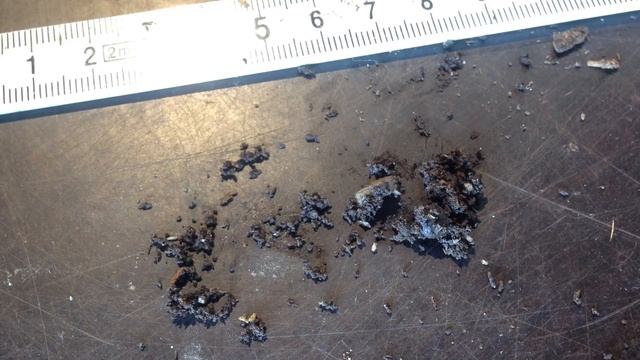 Dynastes Hercules - Substrate Change For L2 Larvae